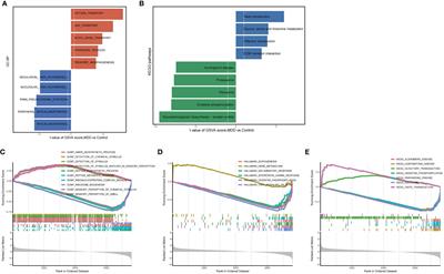 Genes associated with cellular senescence as diagnostic markers of major depressive disorder and their correlations with immune infiltration